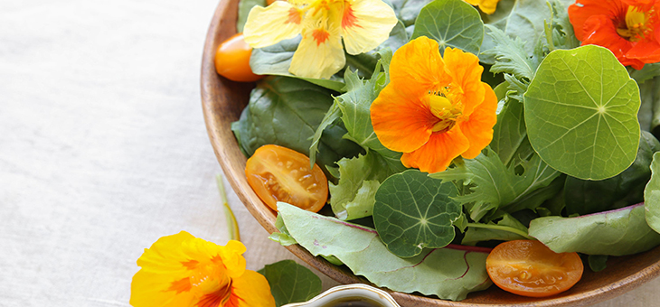 Edible flowers that will colour your salads – and your garden