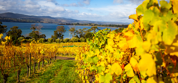 Is this Tassie wine region better than France's Champagne?