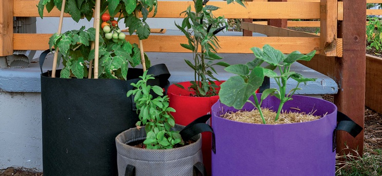 Imaginative ways to use grow bags in small spaces