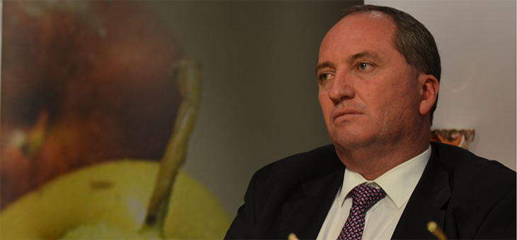 Nationals re-Joyce: Barnaby back as deputy prime minister