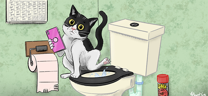 Can I flush pet poo down the toilet?
