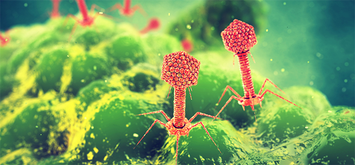 Scientists find more than 54,000 viruses in people's poo