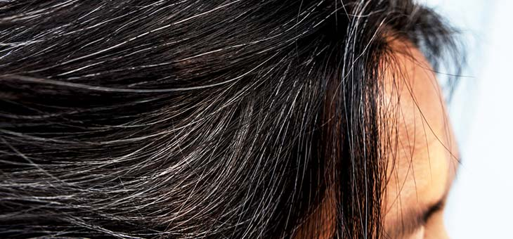 New study reveals greying hair can be halted – even reversed