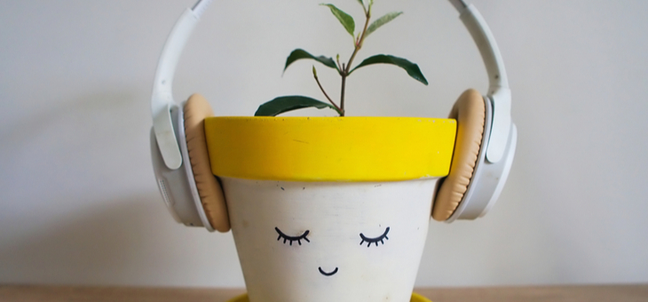 Plant listening to music