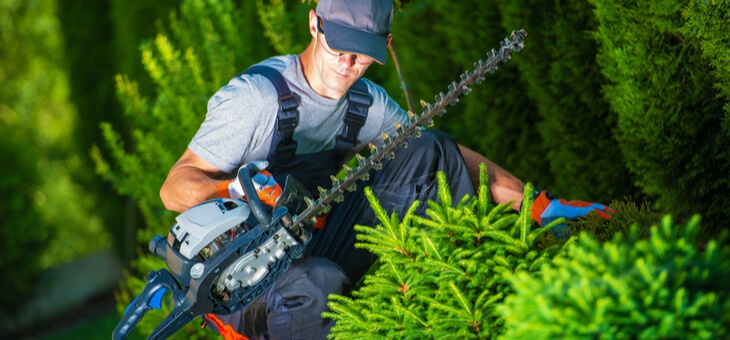 man holding hedge trimmer in garden