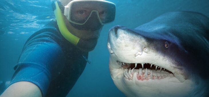 snorkeling man taking underwater selfie with shark