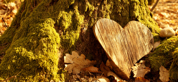 wooden heart at base of oak tree