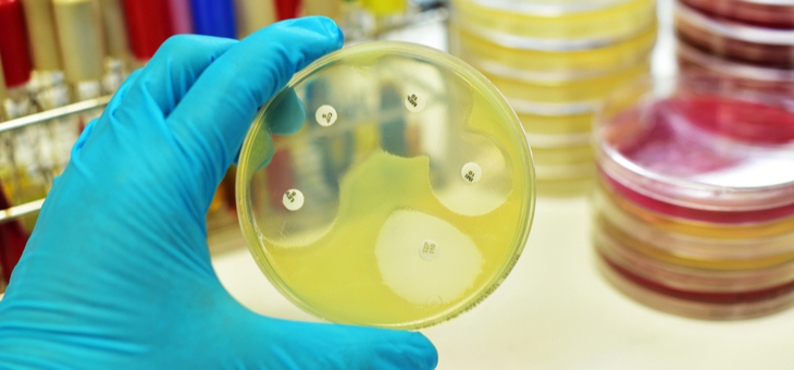 Australian researchers find a way to bust antibiotic resistance