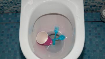 garbage in toilet bowl