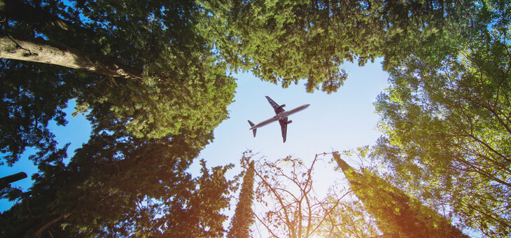 plane flying above tree canopy