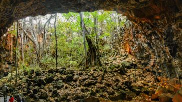 entrance to undara lava tunnel