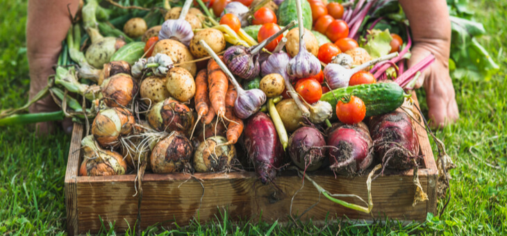 Are organic foods worth the extra money?