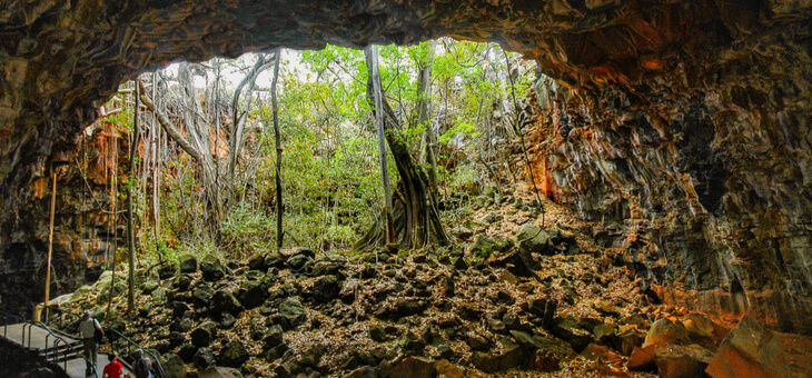 entrance to undara lava tunnel