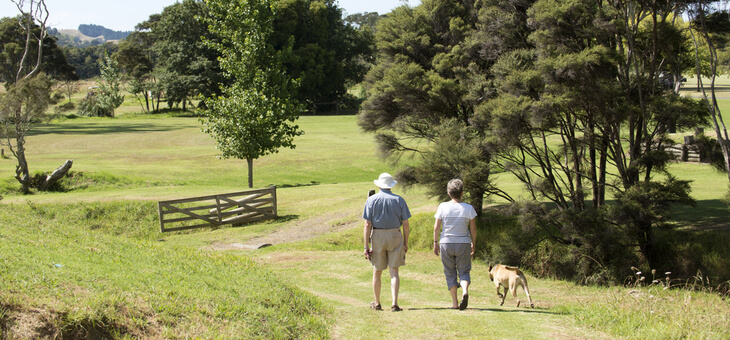 older couple with dog walking down country lane in rural new zealand