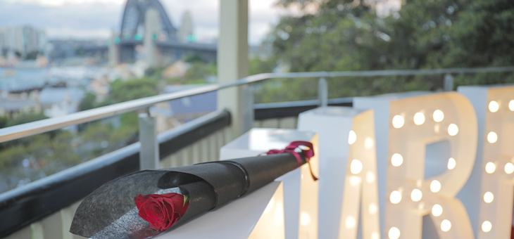 red rose on ledge with sydney harbour bridge behind