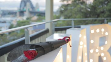 red rose on ledge with sydney harbour bridge behind