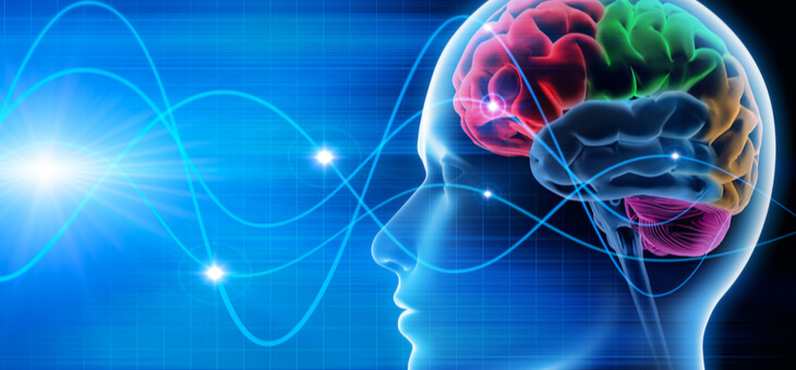 illustration showing human brain and brain waves