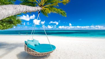 hammock hanging from palm tree on pristine beach
