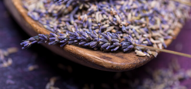 10 surprising uses for lavender
