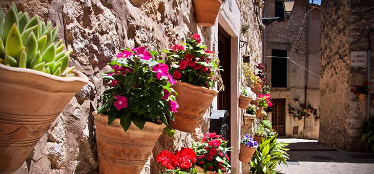 How to create a Mediterranean style garden