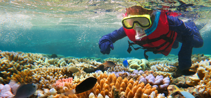 man snorkelling over coral on great barrier reef
