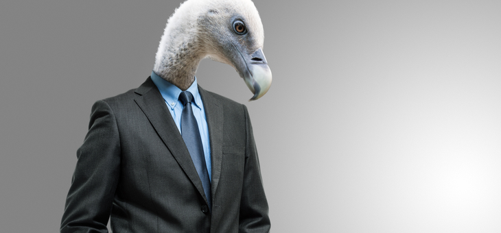 vulture wearing a suit
