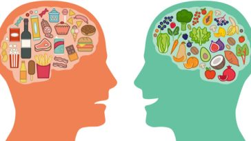 cartoon of two heads, one filled with healthy food, the other junk food
