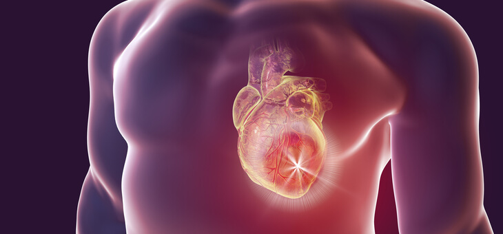 vector graphic of heart in chest