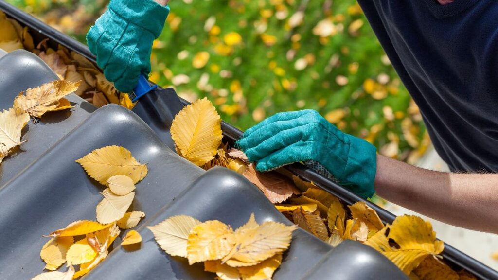 man cleaning leaves from roof gutters