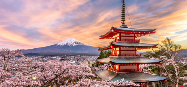 Travel SOS: Best blooms in Tokyo