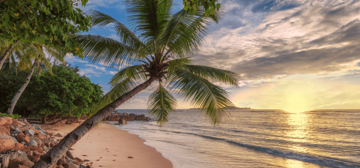 Beautiful Jamaican beach sunset with palm trees