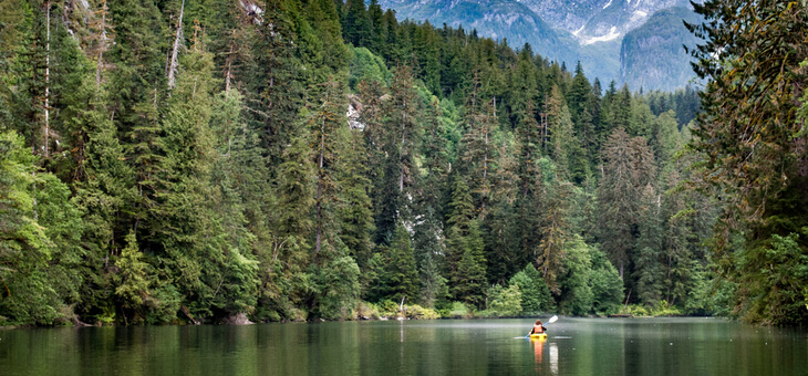 people kayaking on lake in british columbia forest