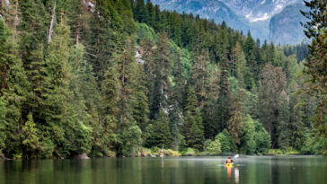 people kayaking on lake in british columbia forest