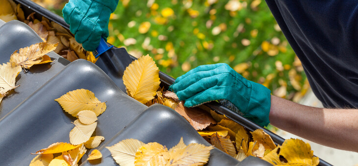 person cleaning leaves from roof gutter