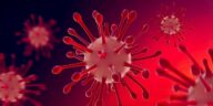 monkeypox virus particles