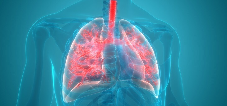 graphic showing human lungs highlighted in body