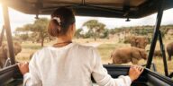 woman looking at elephants on safari
