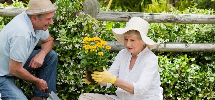 elderly couple gardening