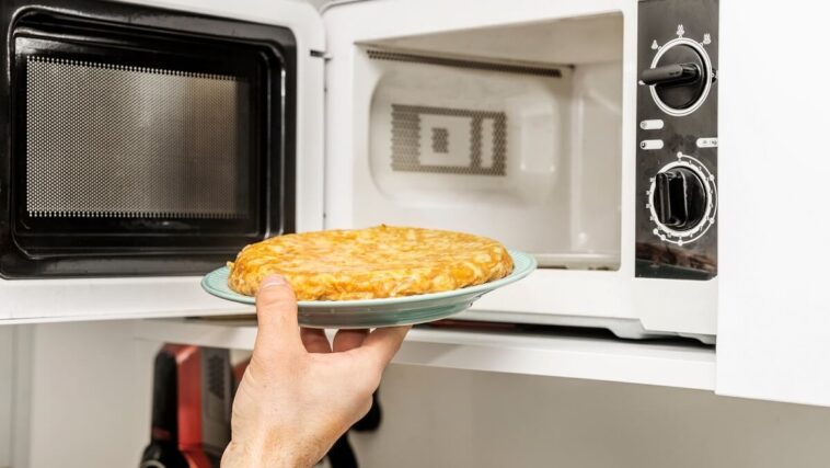 woman placing omellette in microwave