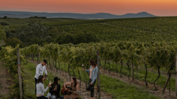 Group of people enjoying wine in a vineyard