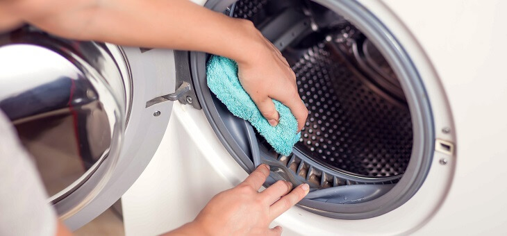 woman keeping washing machine clean