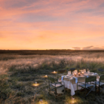 Beautiful safari sunset dining