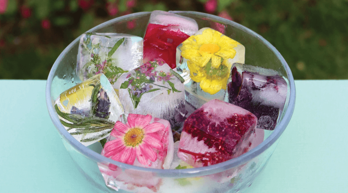 ice cubes with flowers
