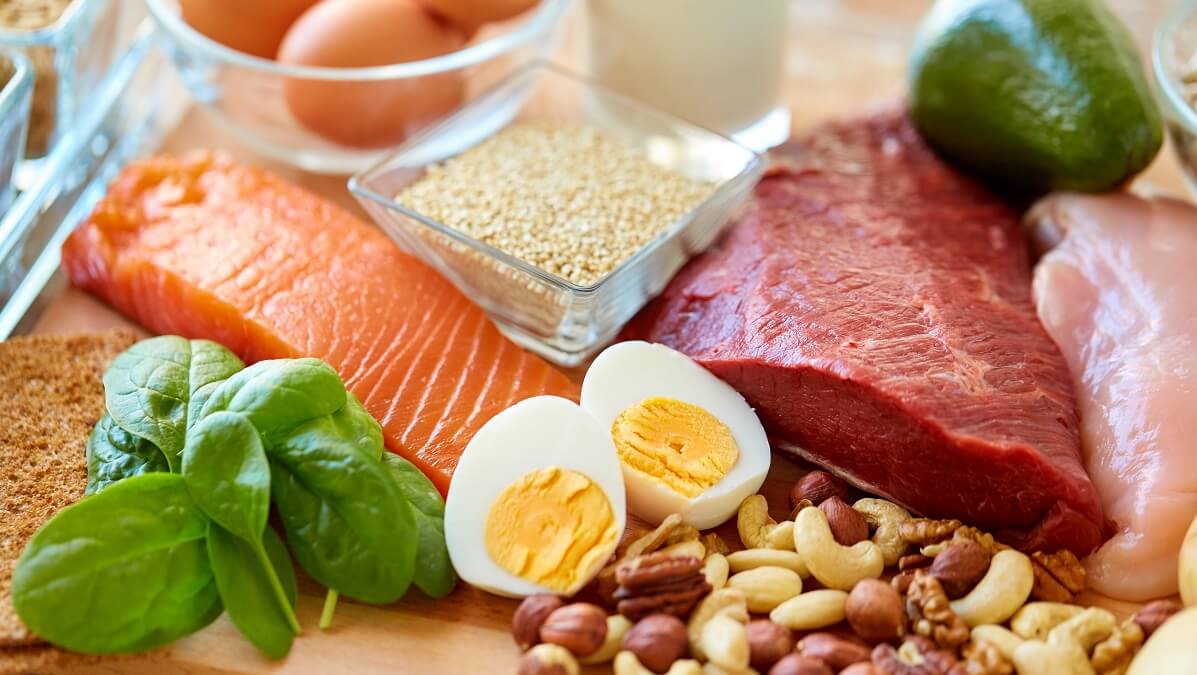 food containing too much protein