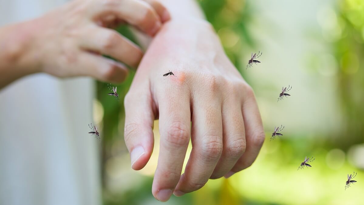 person being swarmed by mosquitoes