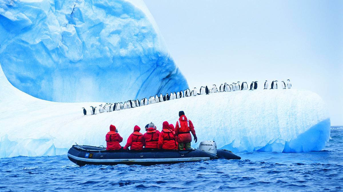 People in a boat observing a line of penguins on some ice