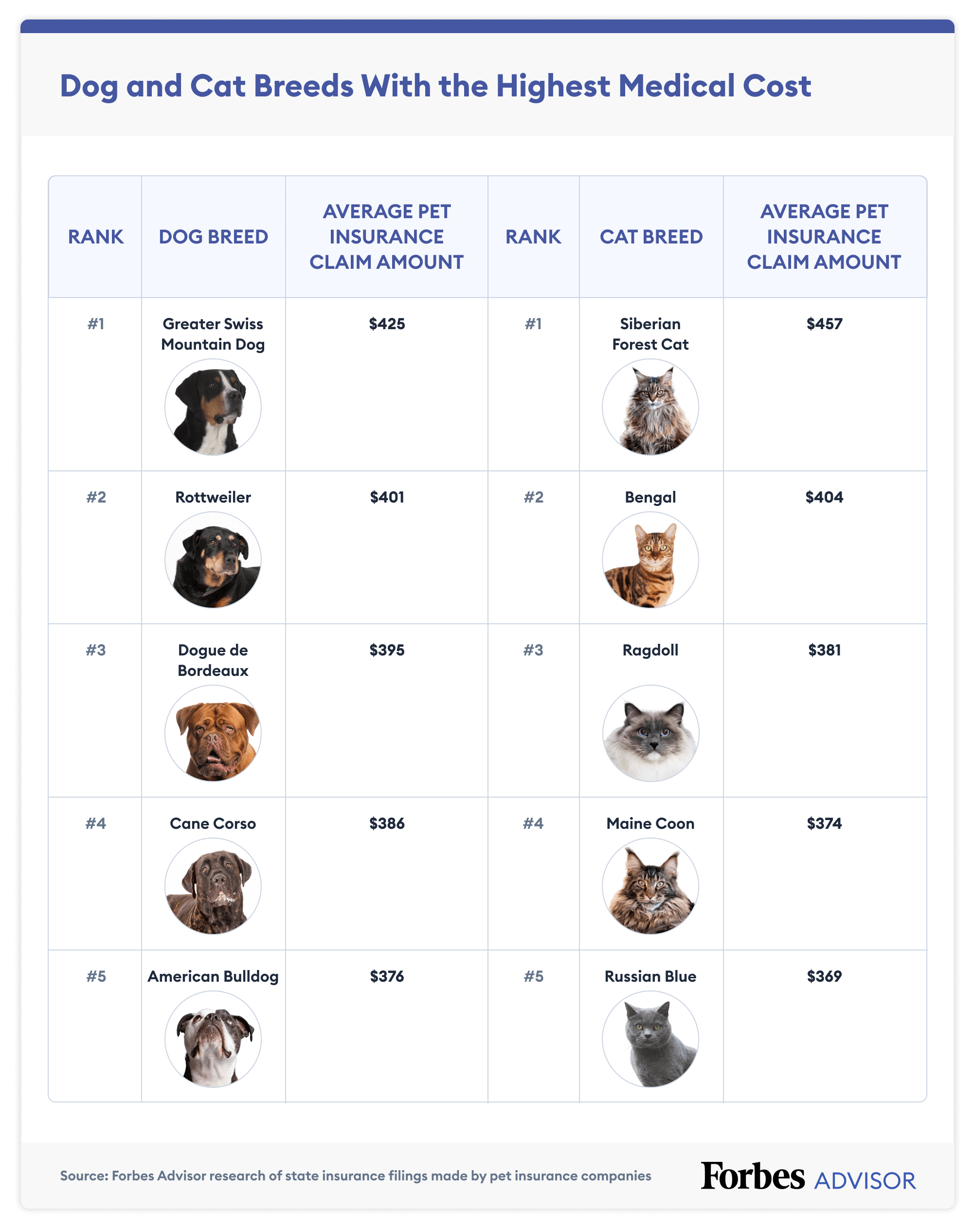 Avoid Vet Bills!  Treat Dog Hot Spots With This Cream - 6jb0w9l