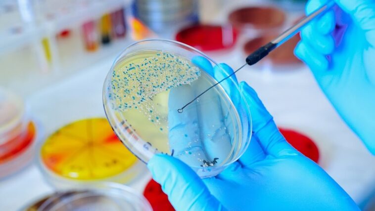 antimicrobial resistance is becoming more common