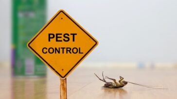cockroach dead after pesticide spray