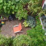 A small garden with a chair